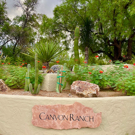 Canyon Ranch Tucson