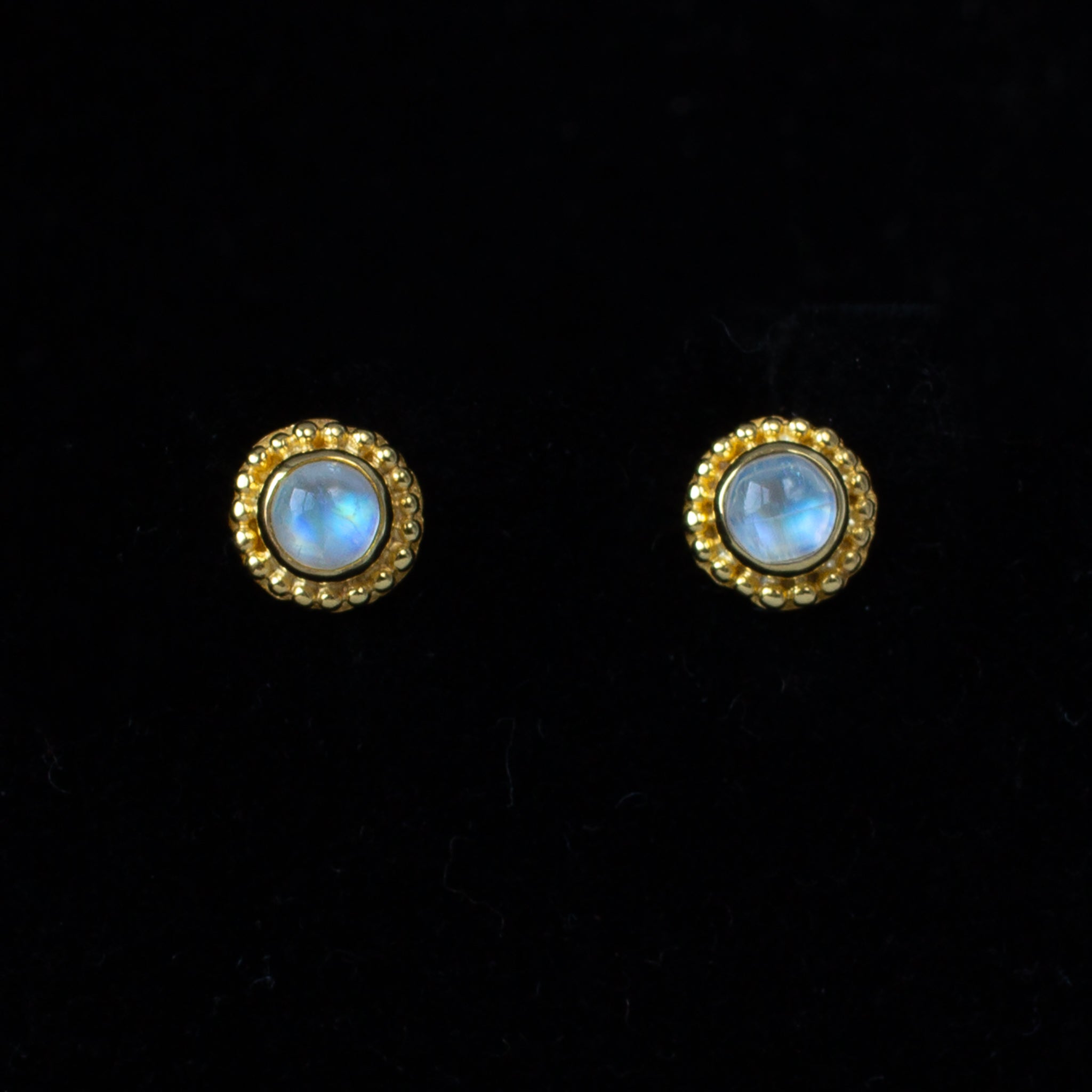 Gold Moonstone Stud Earrings